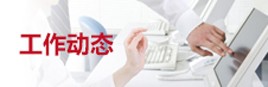 龙8平台娱乐